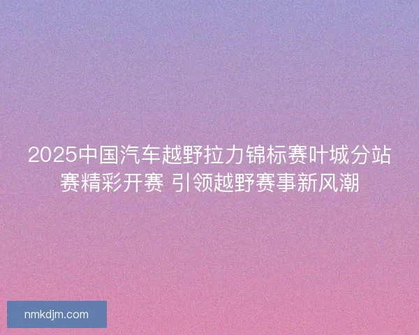 2025中国汽车越野拉力锦标赛叶城分站赛精彩开赛 引领越野赛事新风潮 2025中国汽车越野拉力锦标赛叶城分站赛精彩开赛 引领越野赛事新风潮