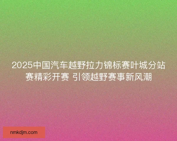 2025中国汽车越野拉力锦标赛叶城分站赛精彩开赛 引领越野赛事新风潮