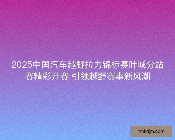 2025中国汽车越野拉力锦标赛叶城分站赛精彩开赛 引领越野赛事新风潮