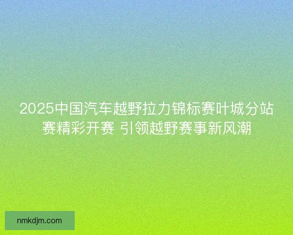 2025中国汽车越野拉力锦标赛叶城分站赛精彩开赛 引领越野赛事新风潮