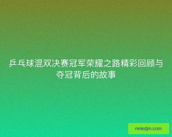 乒乓球混双决赛冠军荣耀之路精彩回顾与夺冠背后的故事